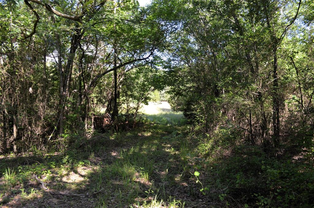 760 Vz County Road 2315 Property Photo 16