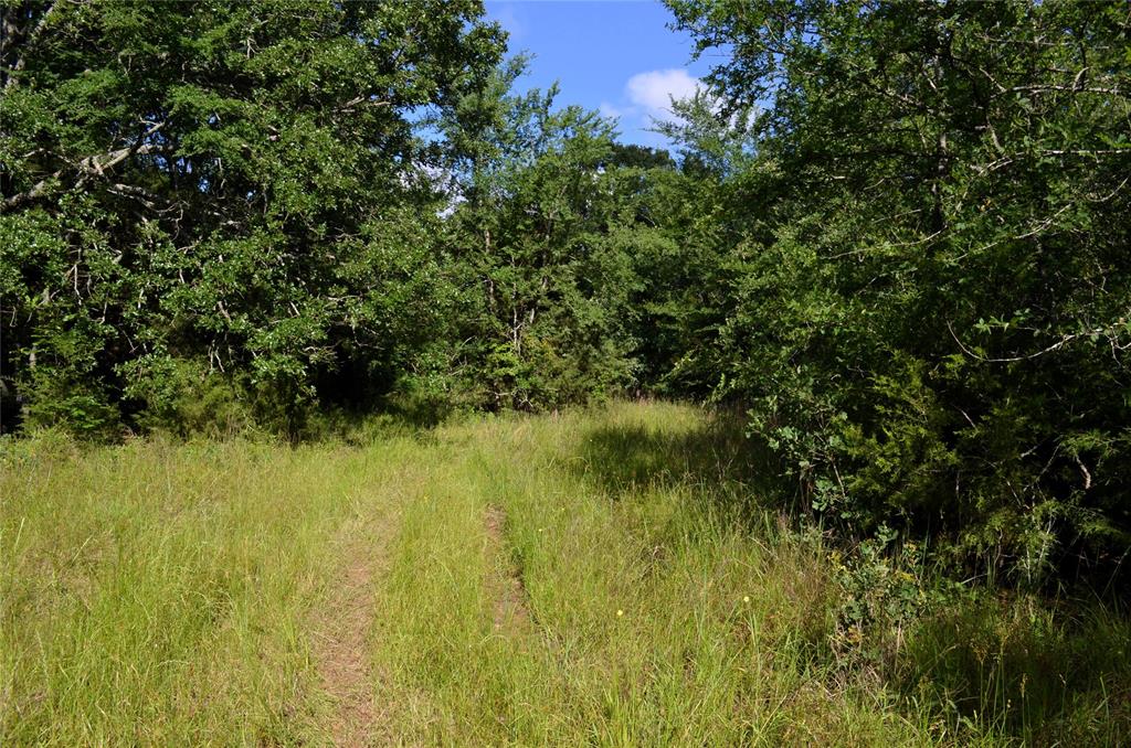 760 Vz County Road 2315 Property Photo 17