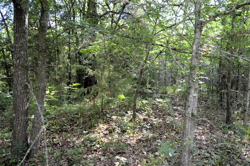 760 Vz County Road 2315 Property Photo 18