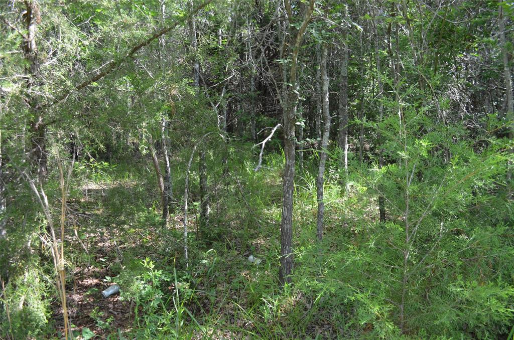 760 Vz County Road 2315 Property Photo 19