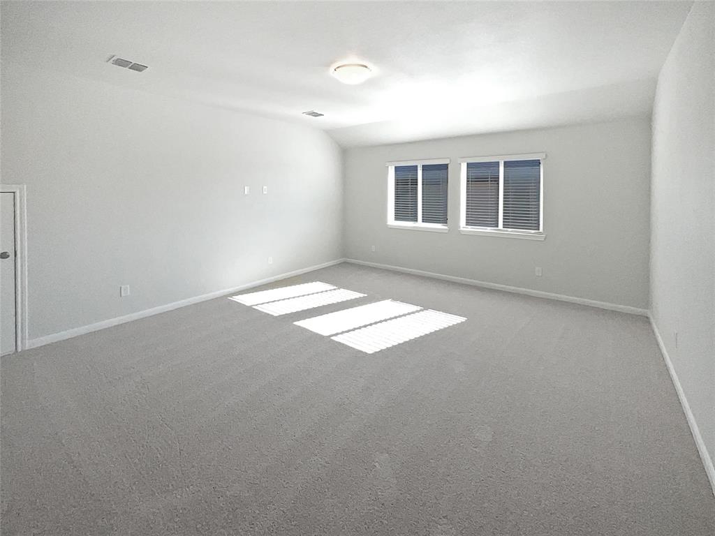 1405 Pleasant Knoll Trail Property Photo 13