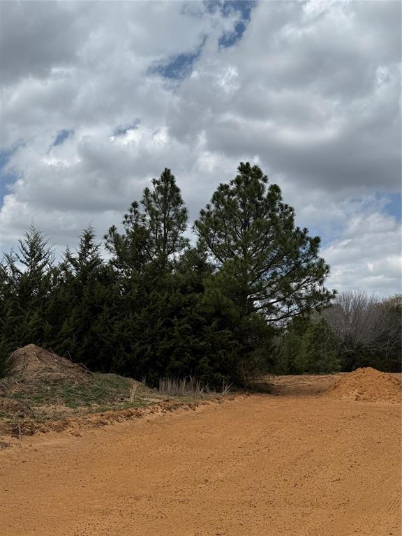 3552 FM 3136 LOT 2 Property Photo 1