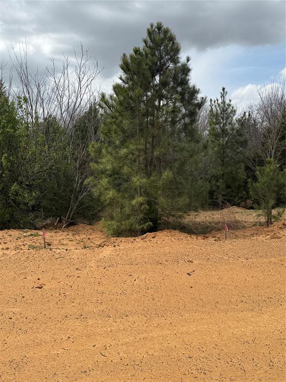 3552 Fm 3136 Lot 2 Property Photo 2