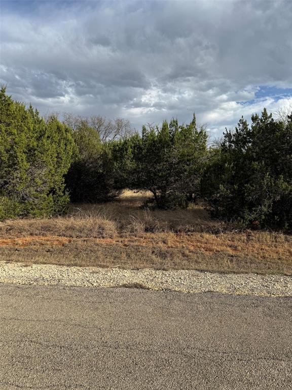 32039 Dove Trail Property Photo