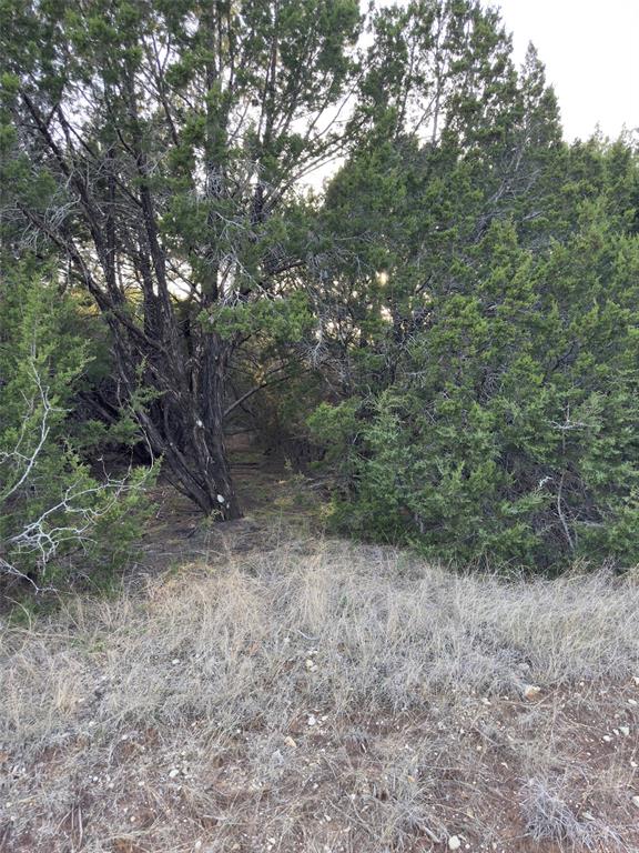 22295 Westmeadow Drive Property Photo 2
