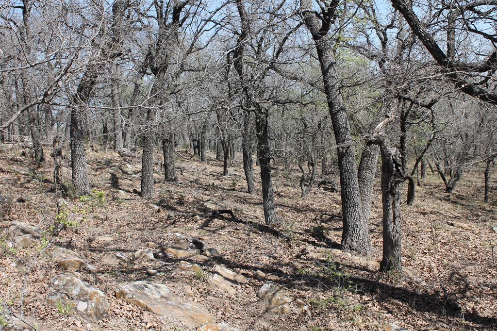 Lot 142 Cote D Azur Drive Property Photo