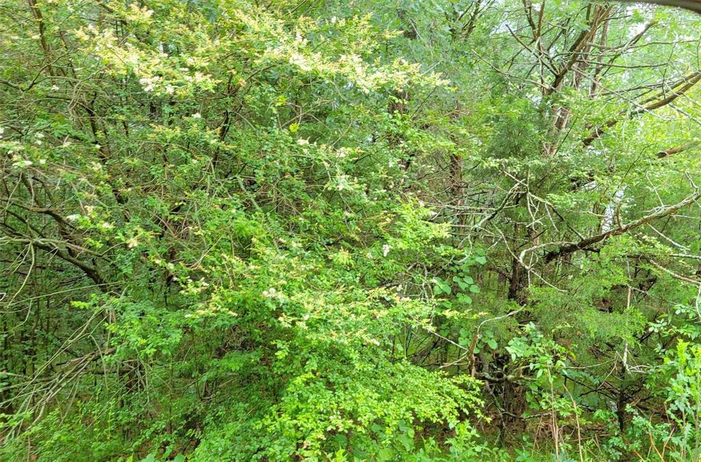 000 Brookshire Drive Property Photo