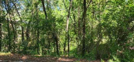 Tbt Commander Lane Property Photo