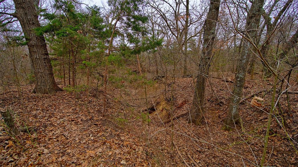 1501 Forrester Road Property Photo