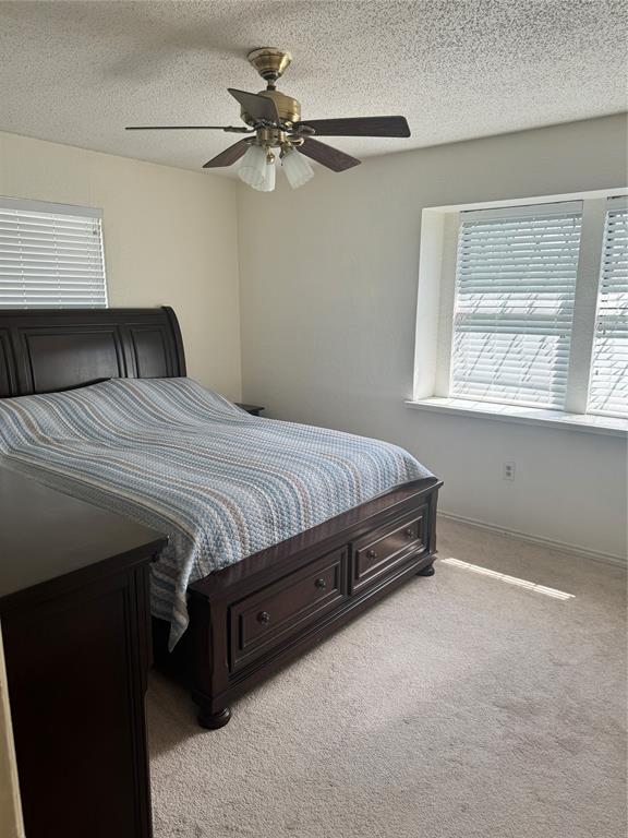 901 Freestone Court Property Photo 9