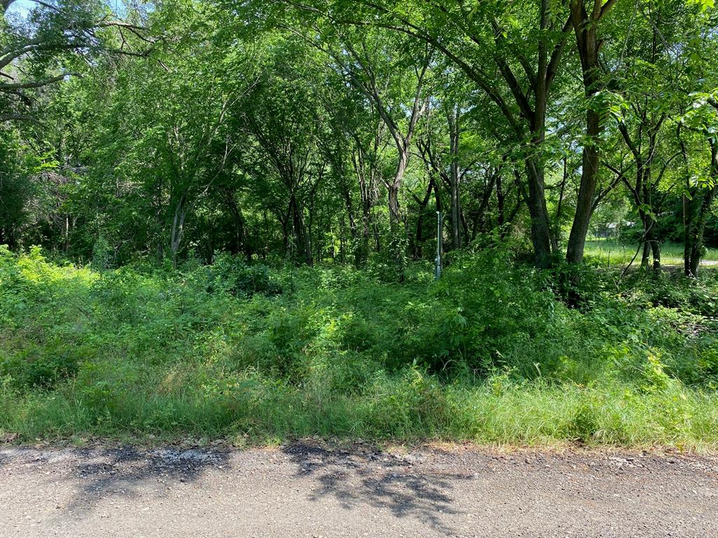 149 Lake Creek Drive Property Photo