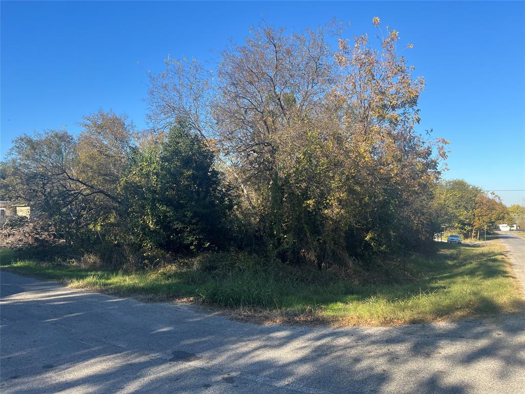 3809 Hedge Row Street Property Photo