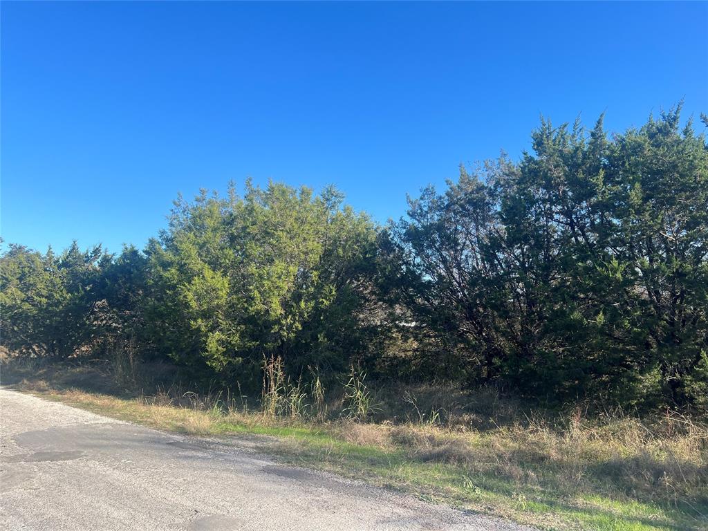2921 Blackjack Lane Street Property Photo