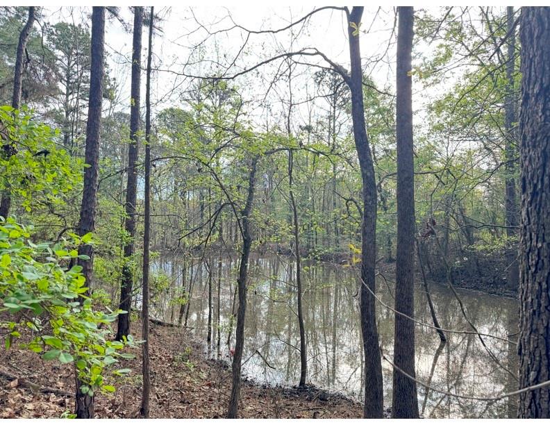 Tbd Bobwhite Road Property Photo