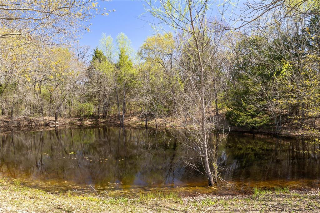 3591 County Road 2512 Property Photo 32