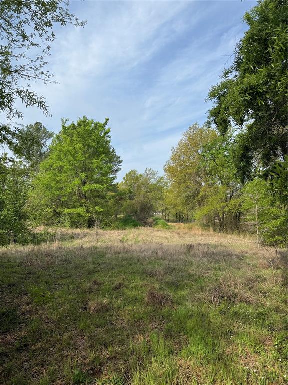341 Schooner Road Property Photo 1