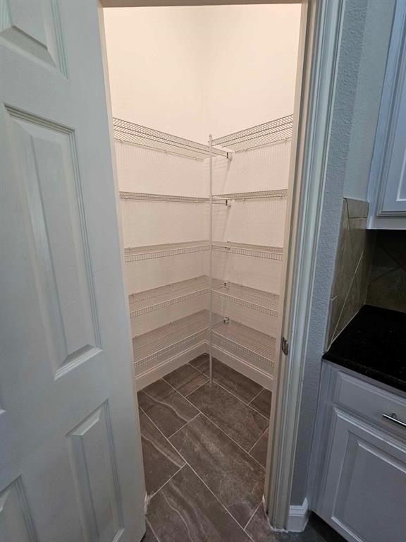 2916 Aurora Mist Drive Property Photo 11