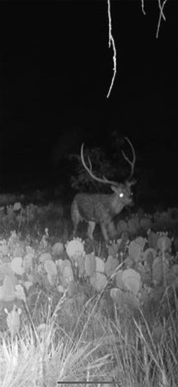 43 Cave Well Ranch Property Photo