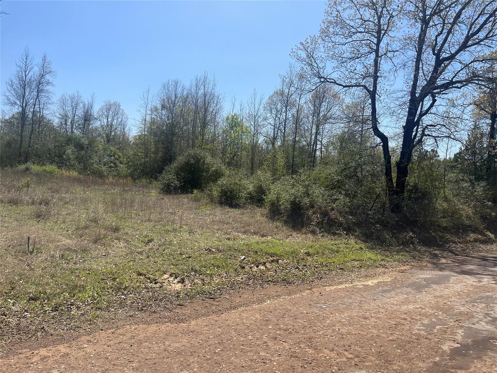 Tbd Cr 124 Property Photo