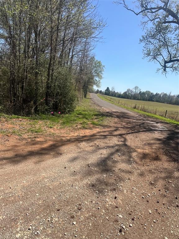Tbd Cr 124 Property Photo 3