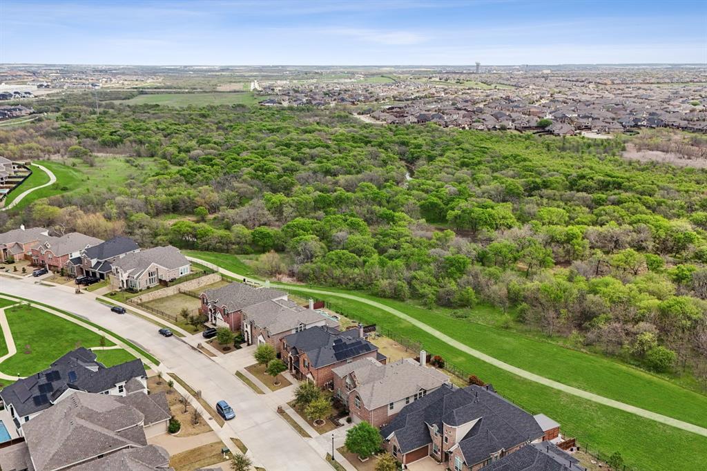 1013 Frisco Hills Boulevard Property Photo 36