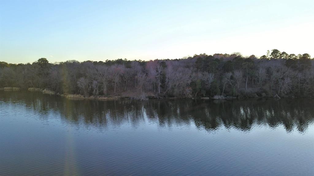 3266 Shadow Pine Drive Property Photo 10