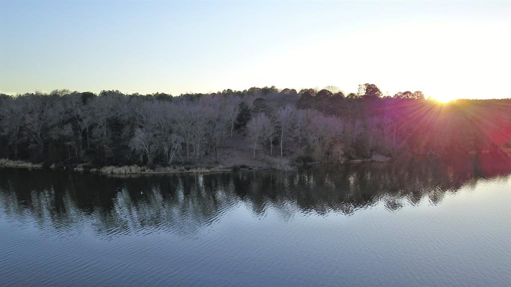 3266 Shadow Pine Drive Property Photo 12