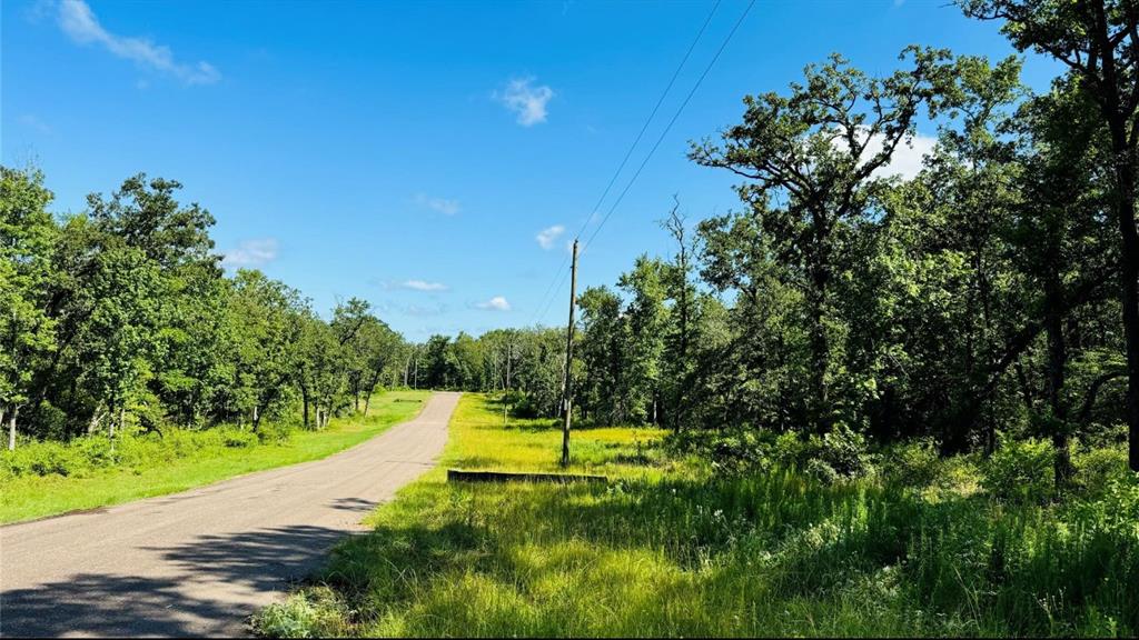 Tbd Tract 10 County Road 2925 Property Photo 2