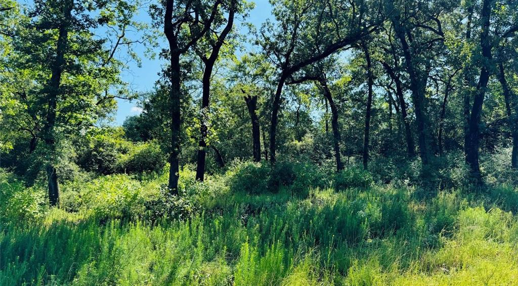 Tbd Tract 10 County Road 2925 Property Photo 3