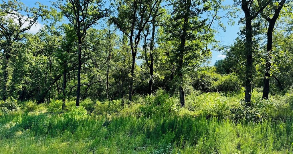 Tbd Tract 10 County Road 2925 Property Photo 4