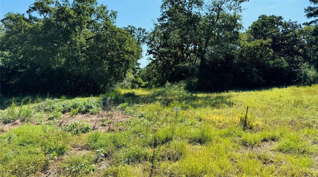 Tbd Tract 10 County Road 2925 Property Photo 5