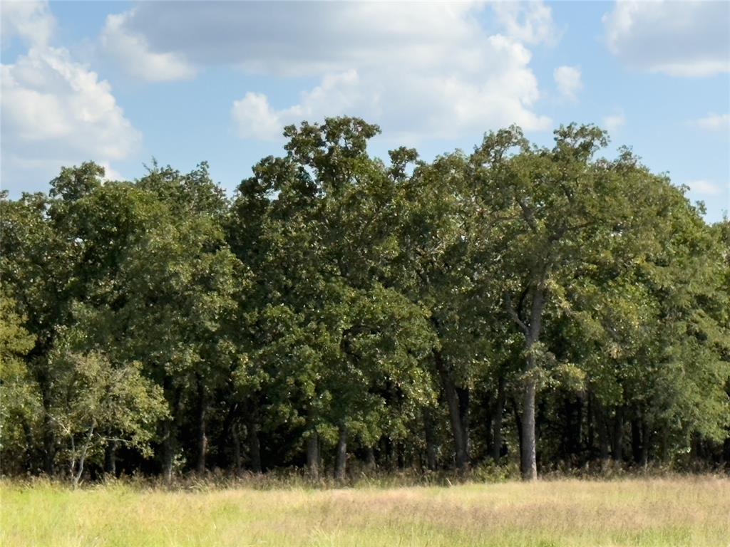 330 Rolling Ranch Boulevard Property Photo 3