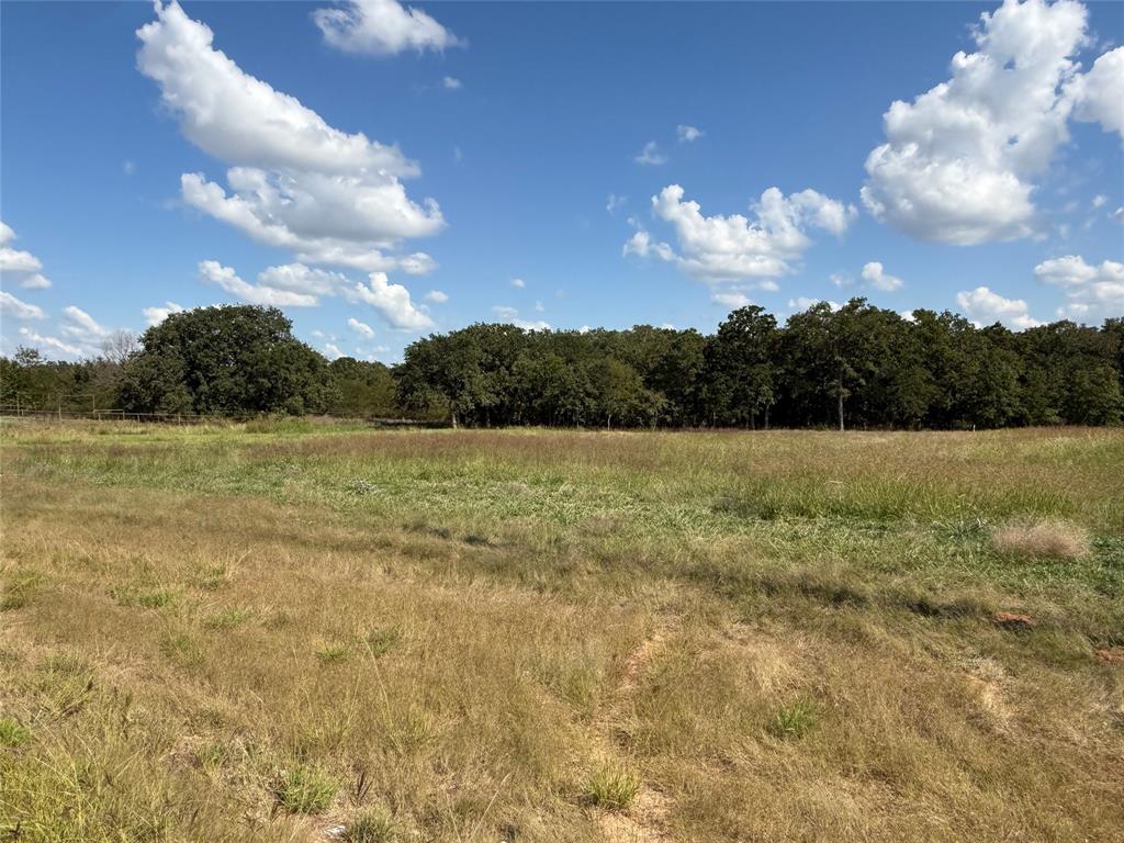 330 Rolling Ranch Boulevard Property Photo 4
