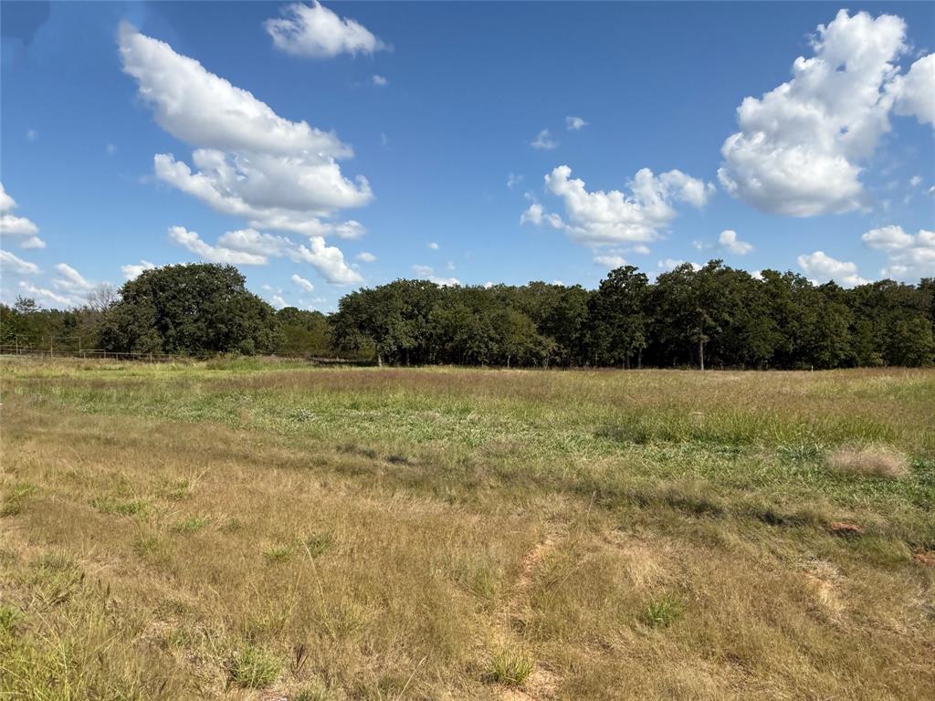 330 Rolling Ranch Boulevard Property Photo 5