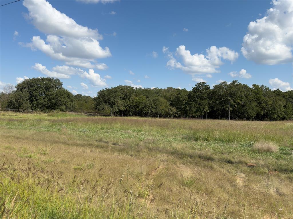 330 Rolling Ranch Boulevard Property Photo 6