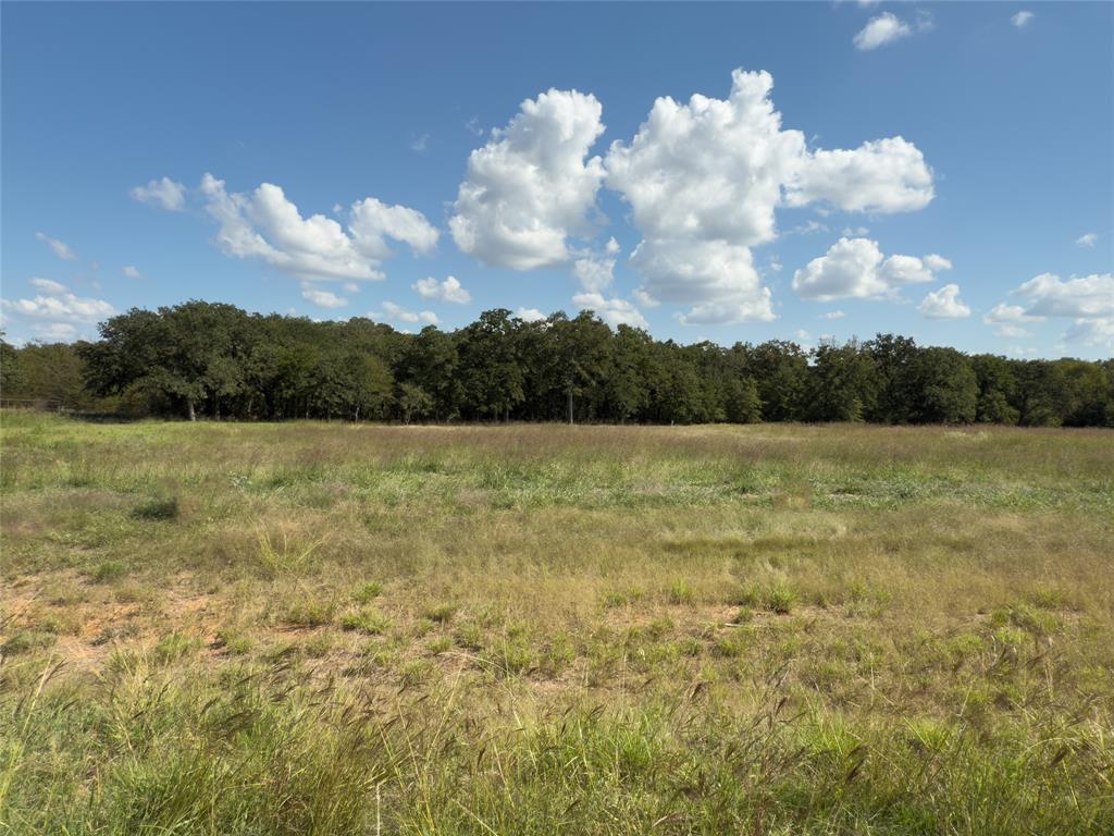 330 Rolling Ranch Boulevard Property Photo 7