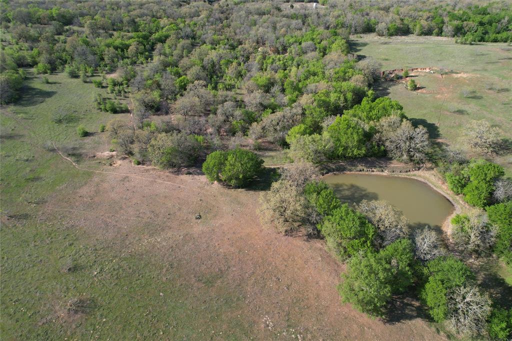 Tbd Fm 51 Property Photo 11