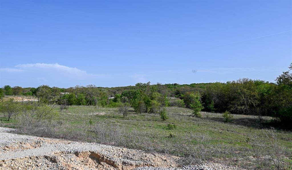 Tbd Fm 51 Property Photo 18