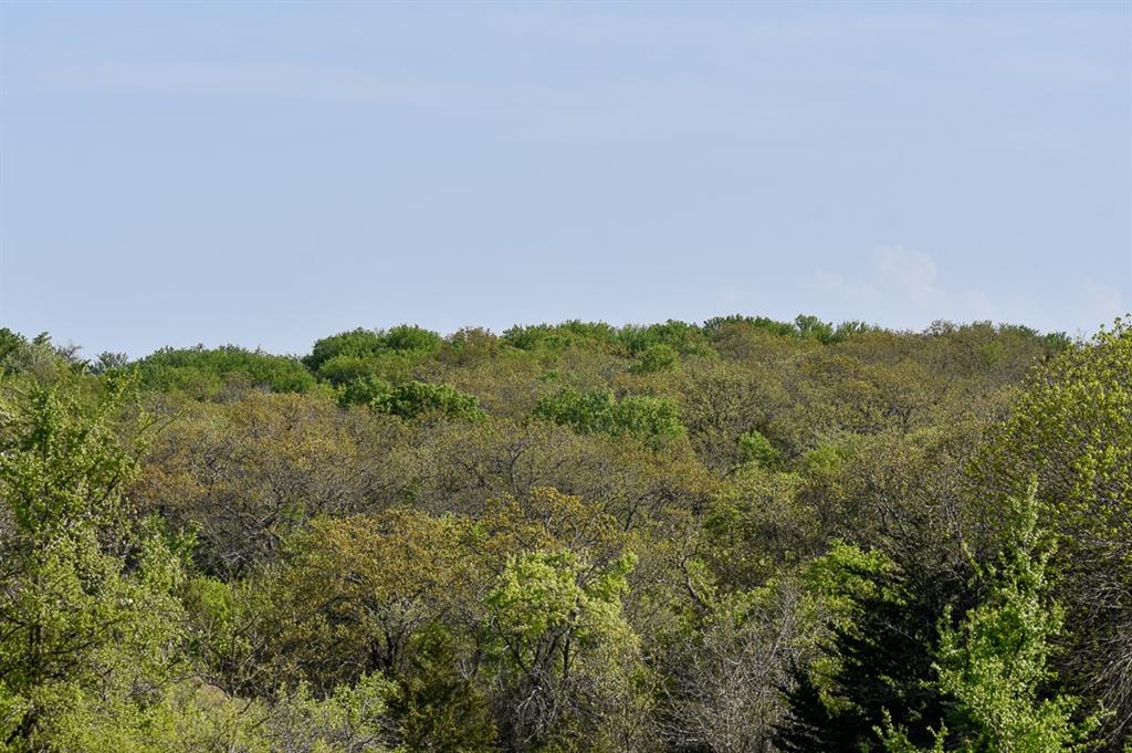 Tbd Fm 51 Property Photo 23