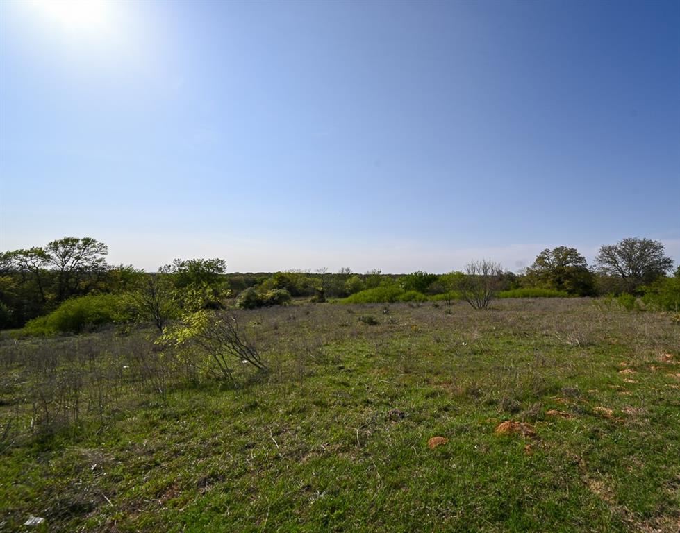 Tbd Fm 51 Property Photo 29