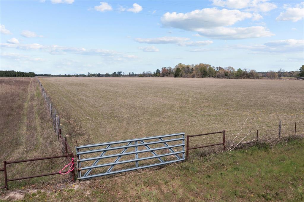 16 Acres County Road 460 Road Property Photo