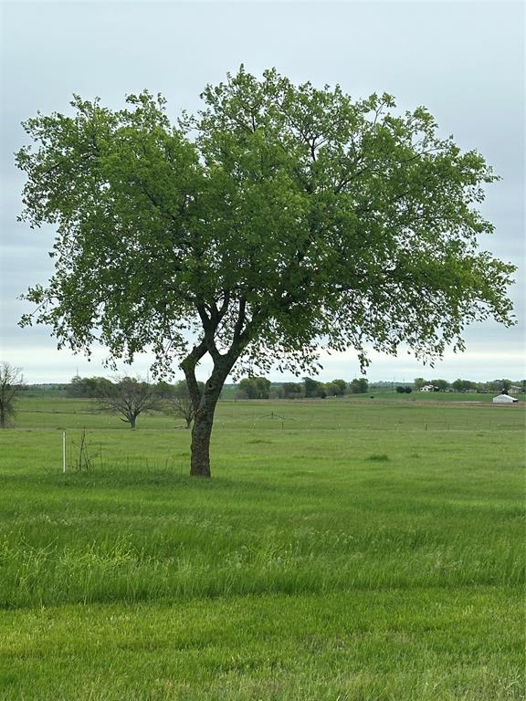 Tbd -3 Fm 1198 Property Photo 6