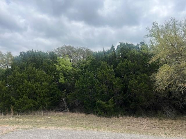 10019 Ridgeway Court Property Photo 1