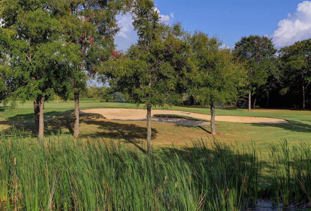 10019 Ridgeway Court Property Photo 17