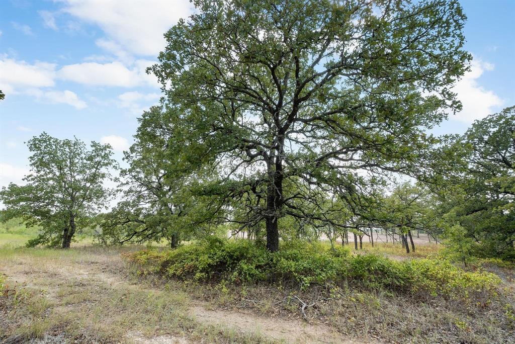 Lot 19 Double B Ranch Road Property Photo
