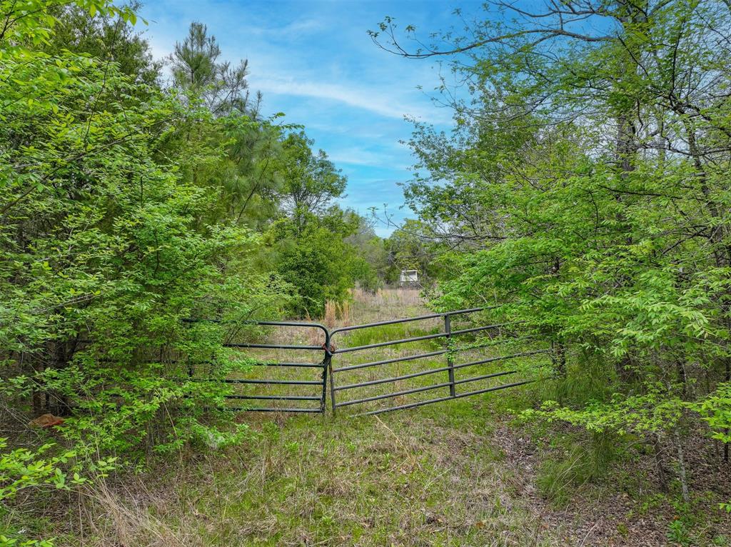 Tbd County Road 3105 Property Photo