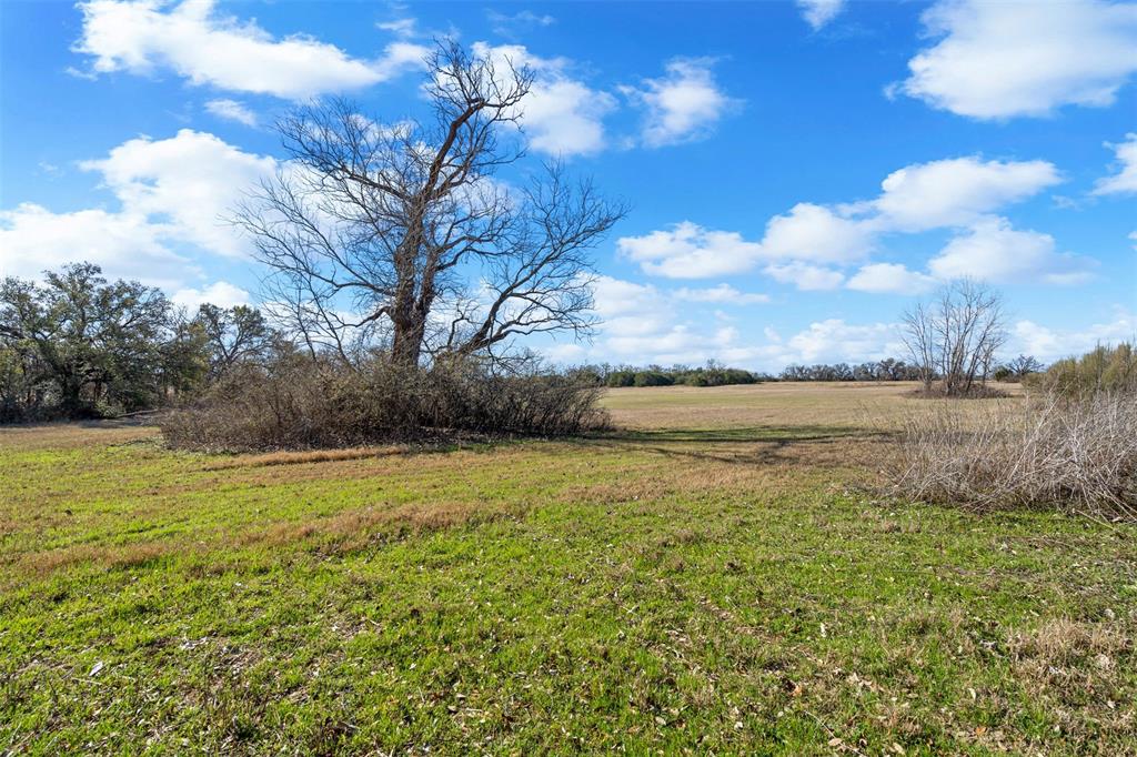 4363 Acton Highway Property Photo 14