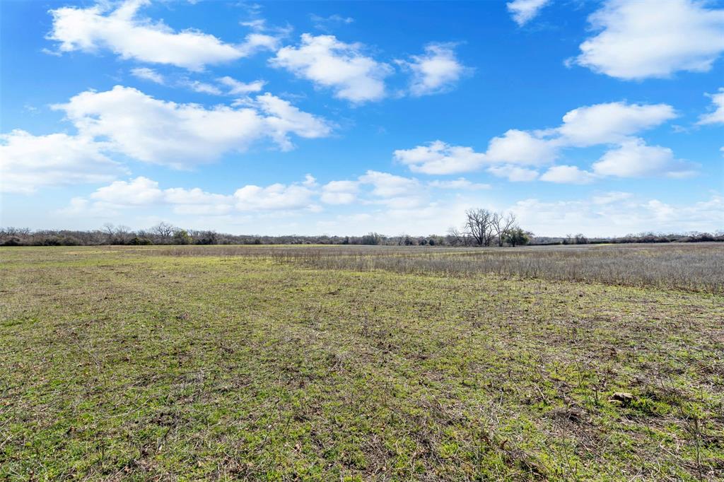 4363 Acton Highway Property Photo 20