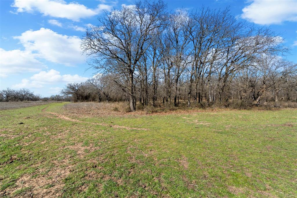 4363 Acton Highway Property Photo 21