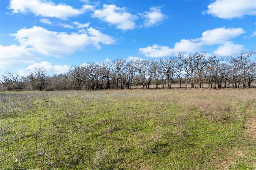 4363 Acton Highway Property Photo 23